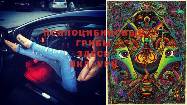 PSILOCYBIN Куйбышев