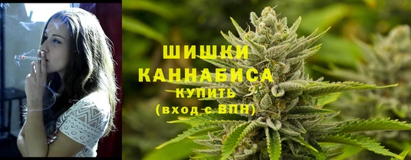 амф Кулебаки