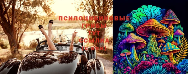 PSILOCYBIN Куйбышев
