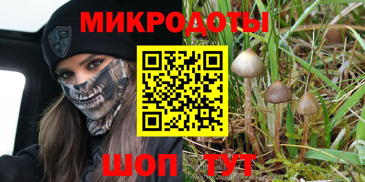 Назарово  Псилоцибиновые грибы ЛСД  Вход с VPN  Галлюциногенные грибы мицелий 