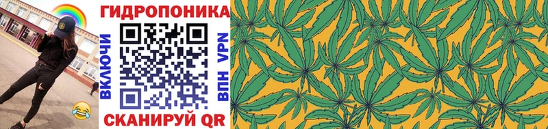 гидра онион  Назарово  Конопля White Widow 